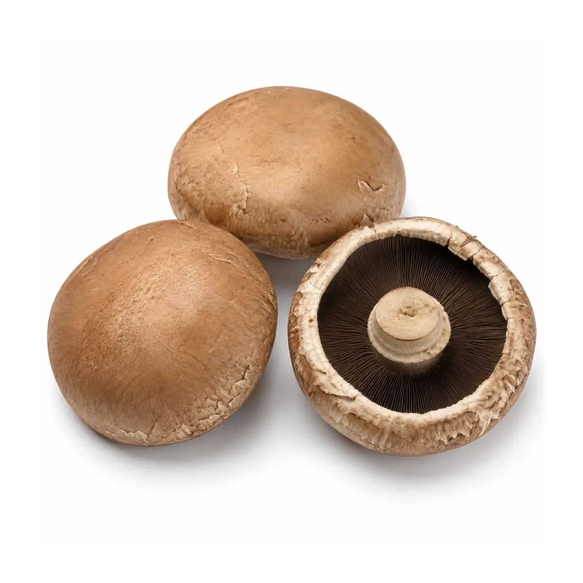 Mushrooms